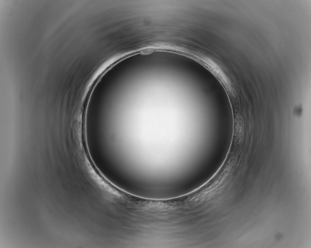 X0000099561100200805161446