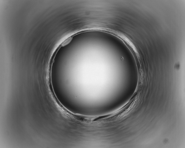 X0000099561101200805161446