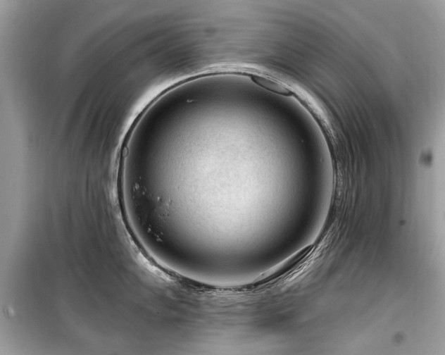 X0000099561102200805161446