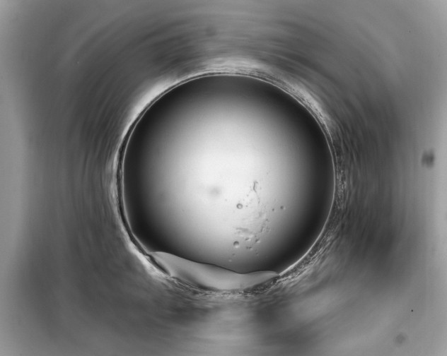 X0000099561103200805161446