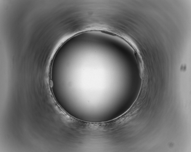 X0000099561104200805161446
