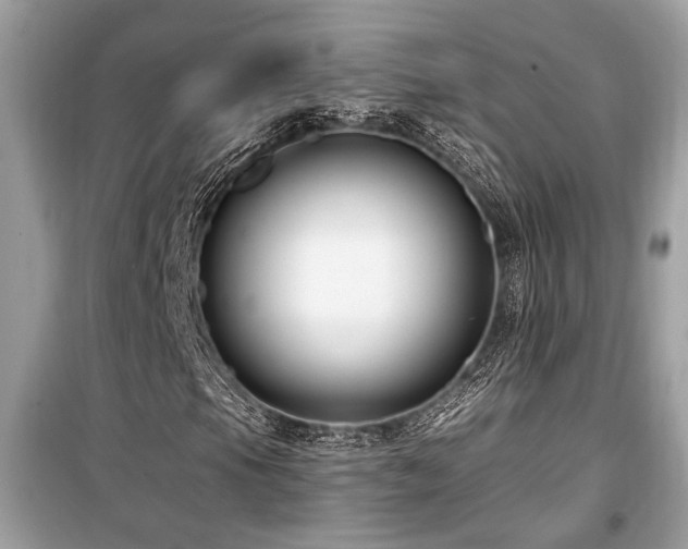 X0000099561105200805161445