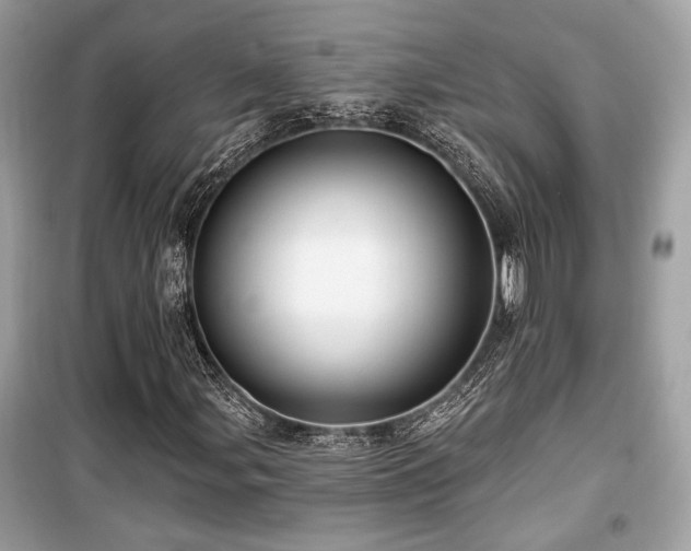 X0000099561107200805161445