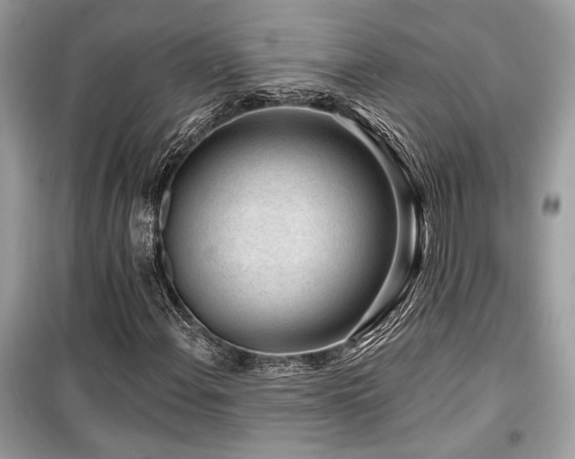 X0000099561108200805161445