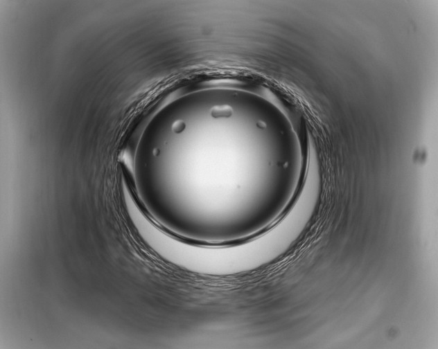 X0000099561110200805161445