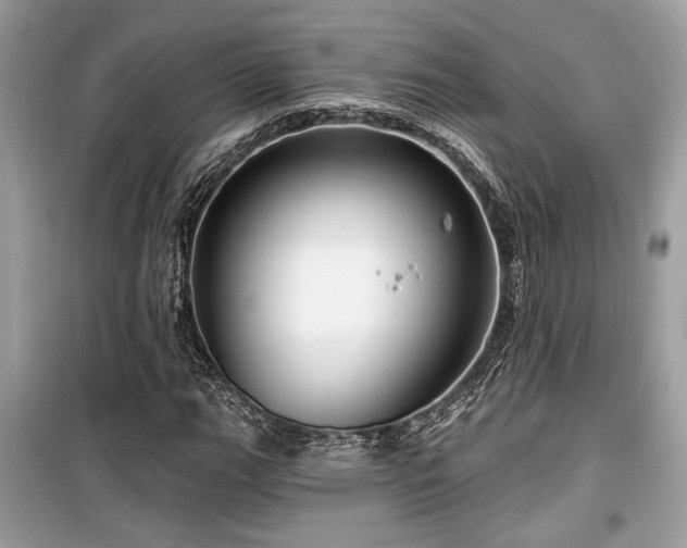 X0000099561111200805161445