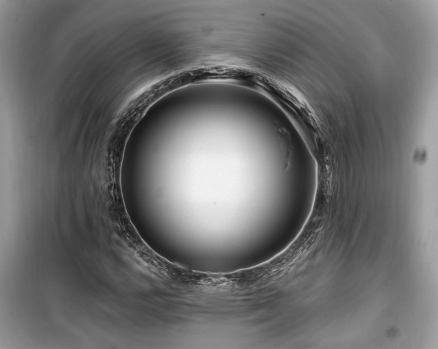 X0000099561112200805161445