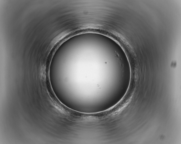 X0000099561113200805161445