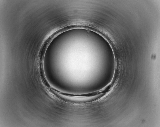 X0000099561114200805161445