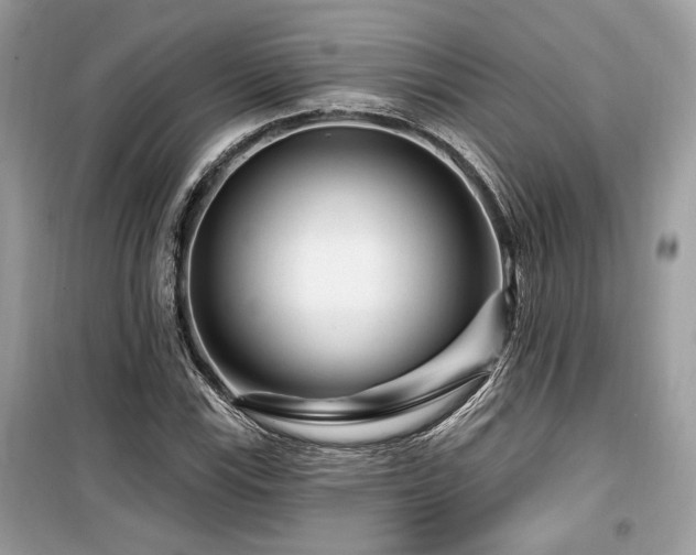 X0000099561115200805161445