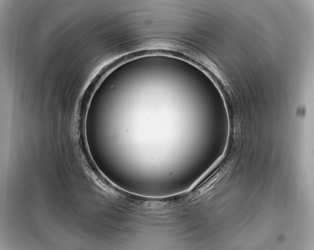 X0000099561116200805161445