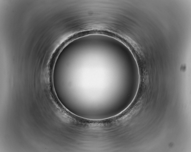 X0000099561118200805161445