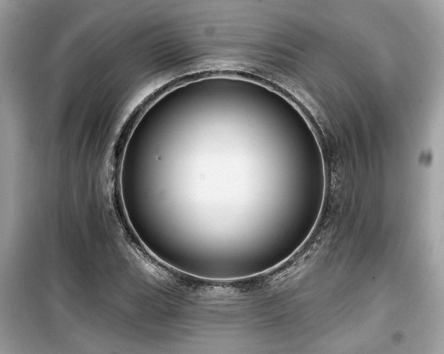 X0000099561119200805161445