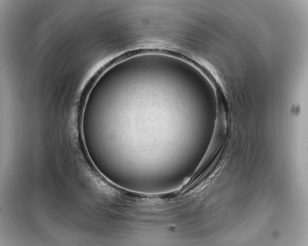 X0000099561120200805161445
