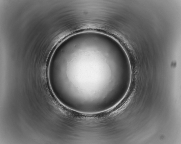 X0000099561121200805161445