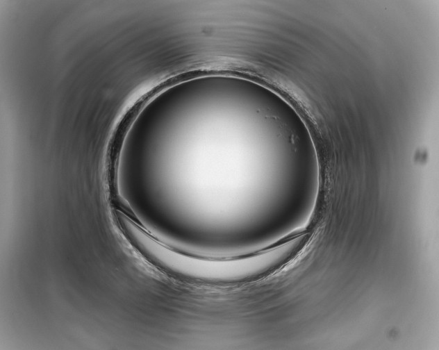 X0000099561122200805161445