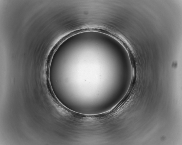 X0000099561124200805161445