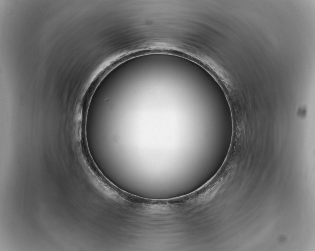 X0000099561126200805161445