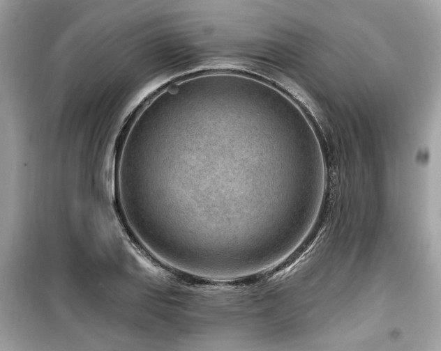 X0000099561127200805161445
