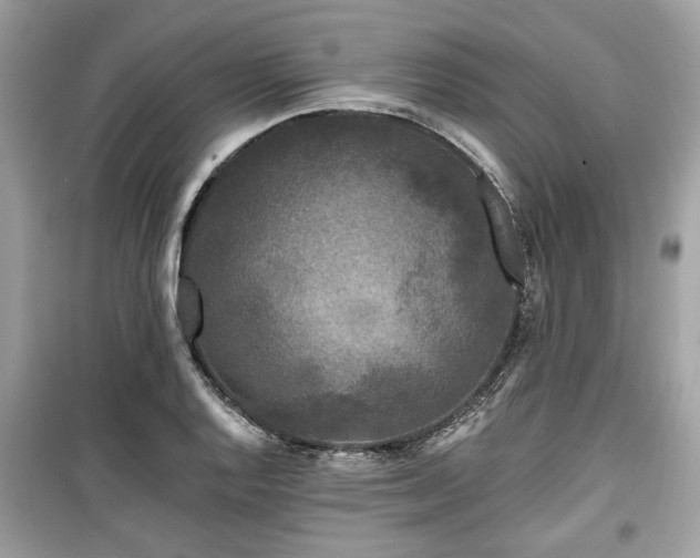 X0000099561128200805161445