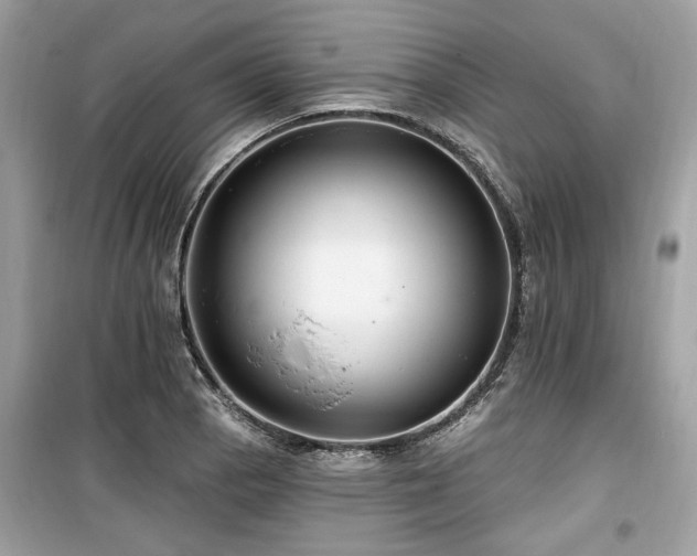 X0000099561129200805161445