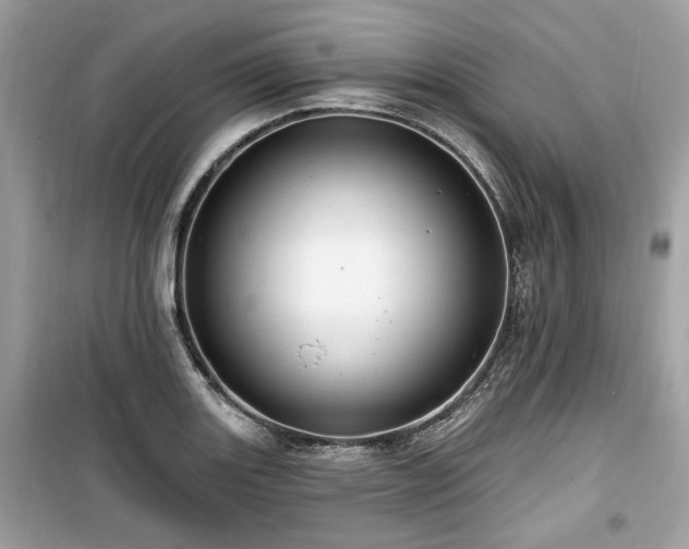 X0000099561131200805161446