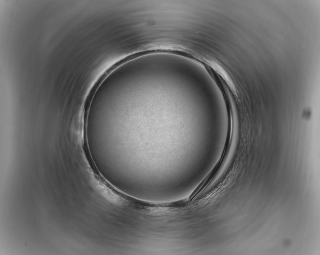 X0000099561132200805161446