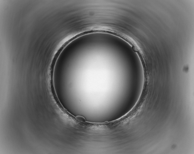 X0000099561133200805161446
