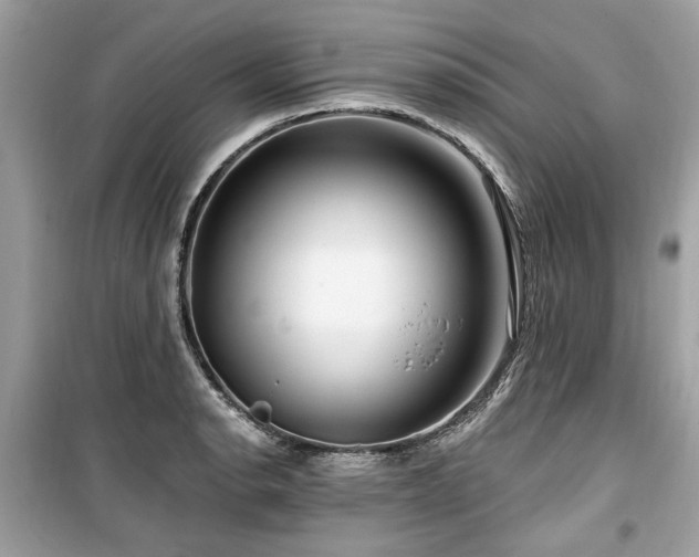 X0000099561134200805161446