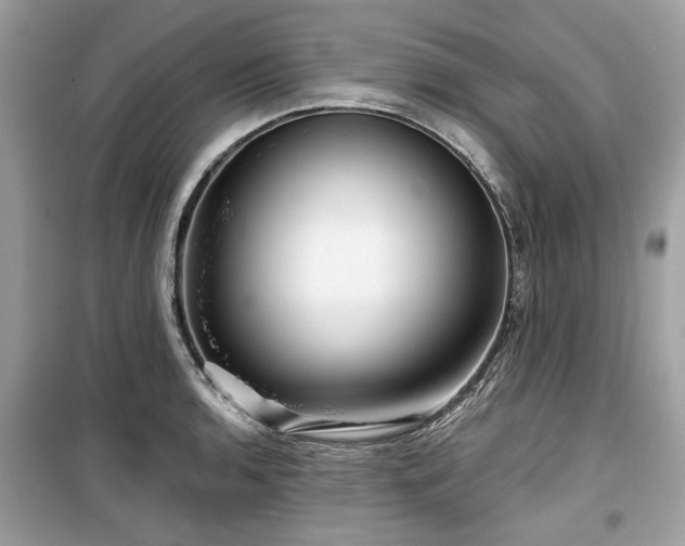 X0000099561136200805161446