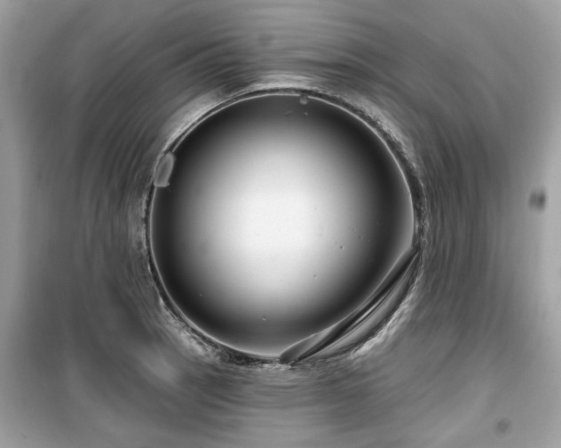 X0000099561137200805161446