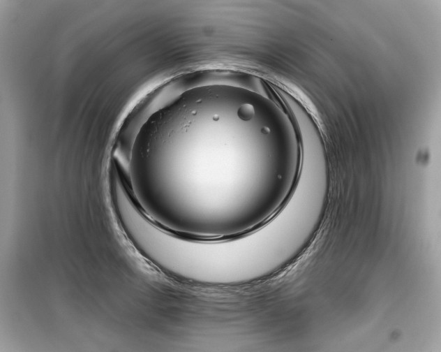 X0000099561138200805161446