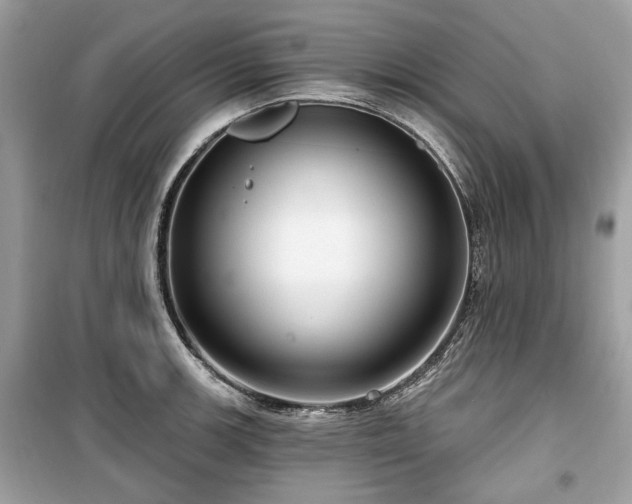 X0000099561139200805161446