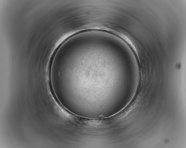 X0000099561141200805161446