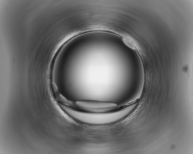 X0000099561142200805161446