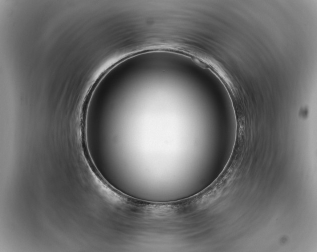 X0000099561143200805161446