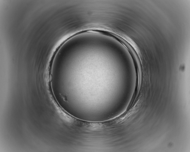 X0000099561144200805161446