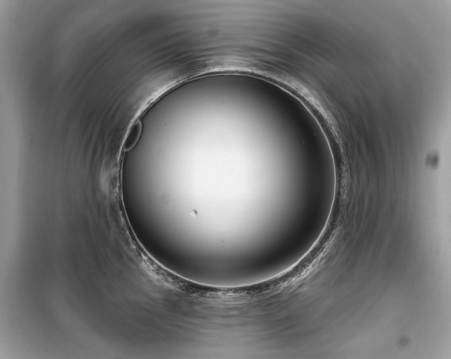 X0000099561145200805161446