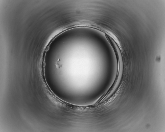 X0000099561146200805161446