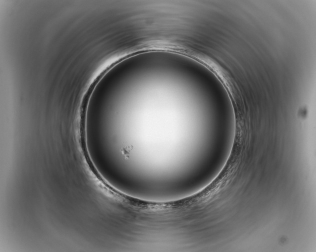 X0000099561147200805161446