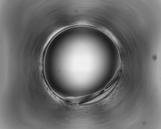 X0000099561148200805161446