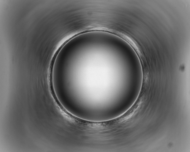 X0000099561149200805161446