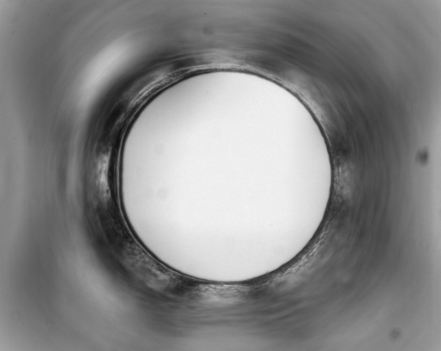 X0000099561150200805161446
