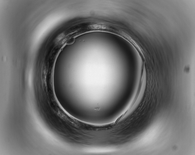 X0000099561151200805161446