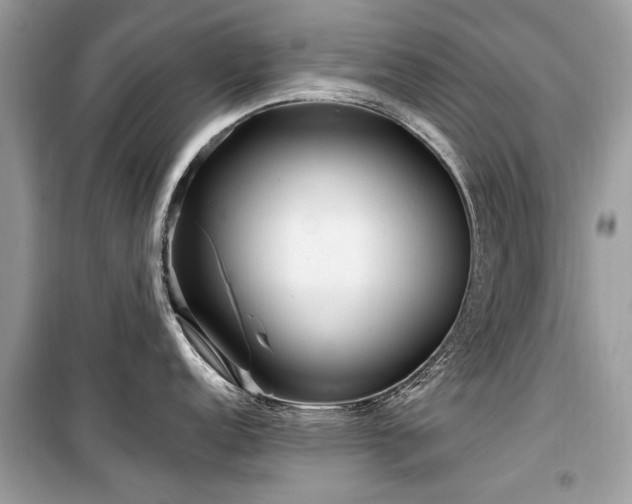 X0000099561152200805161446