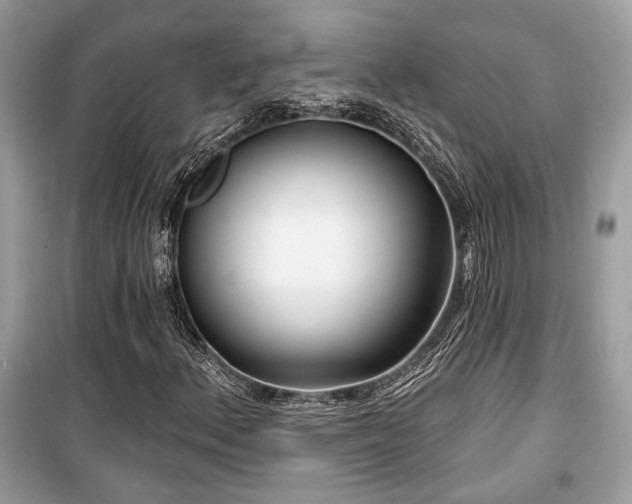 X0000099561156200805161445