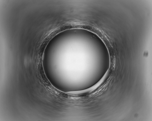 X0000099561157200805161445