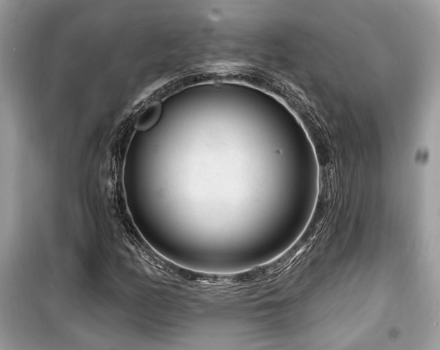 X0000099561158200805161445