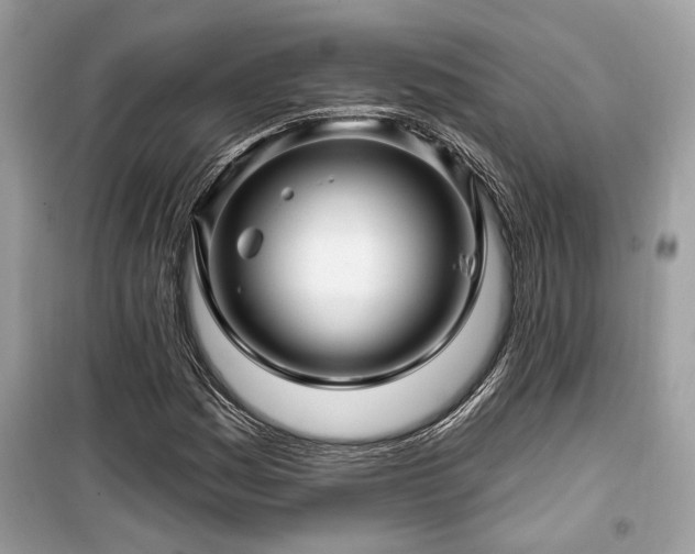 X0000099561161200805161445