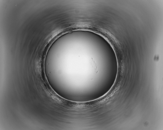 X0000099561162200805161445